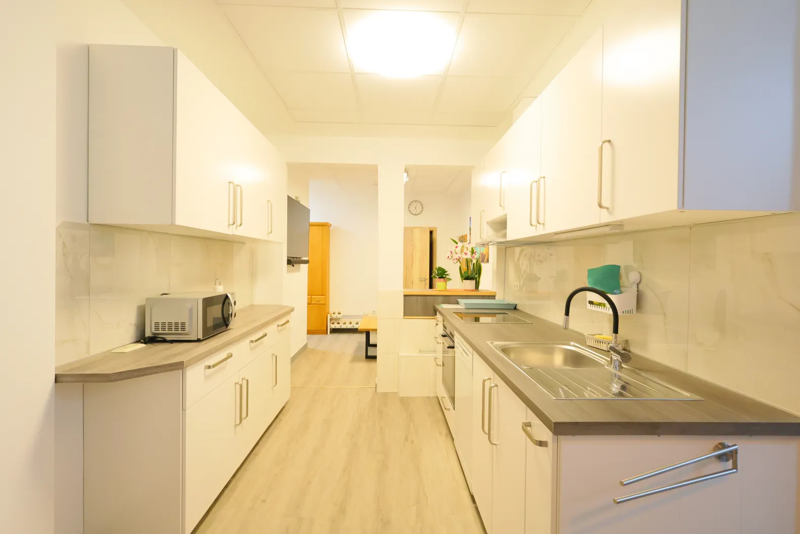 APT 02 kitchen